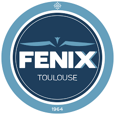 logo Fenix Toulouse Handball